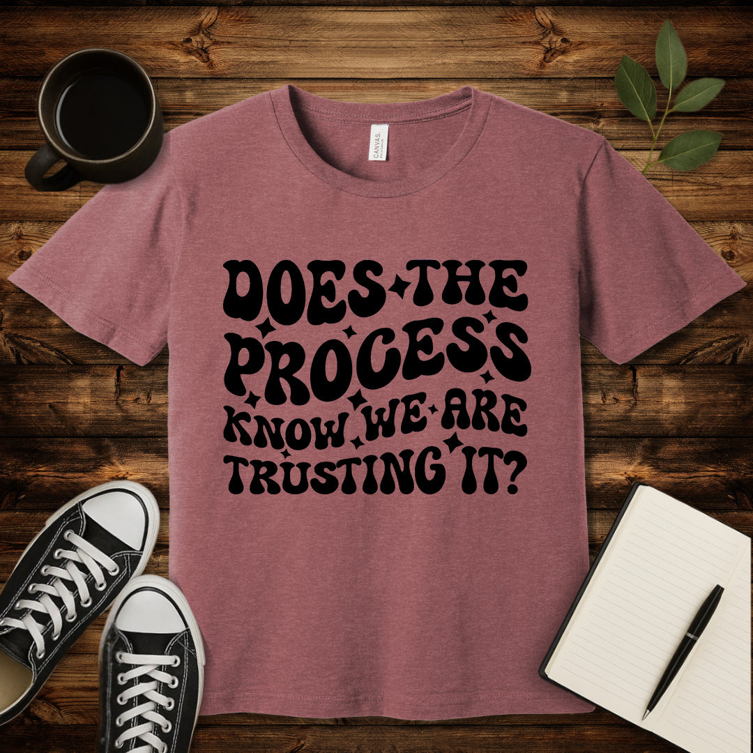 Does the Process Know T-Shirt-T-Shirt-Heather Mauve-S-wearable sarcasm by Savage Tee Society