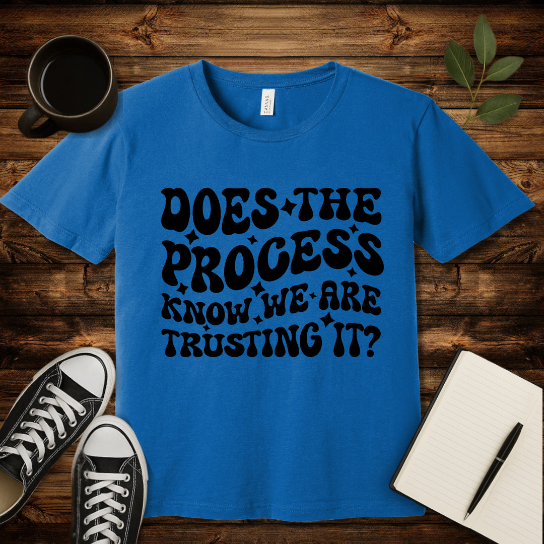Does the Process Know T-Shirt-T-Shirt-Heather Columbia Blue-S-wearable sarcasm by Savage Tee Society