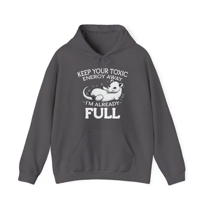 Gray hoodie with a graphic and text on a white background