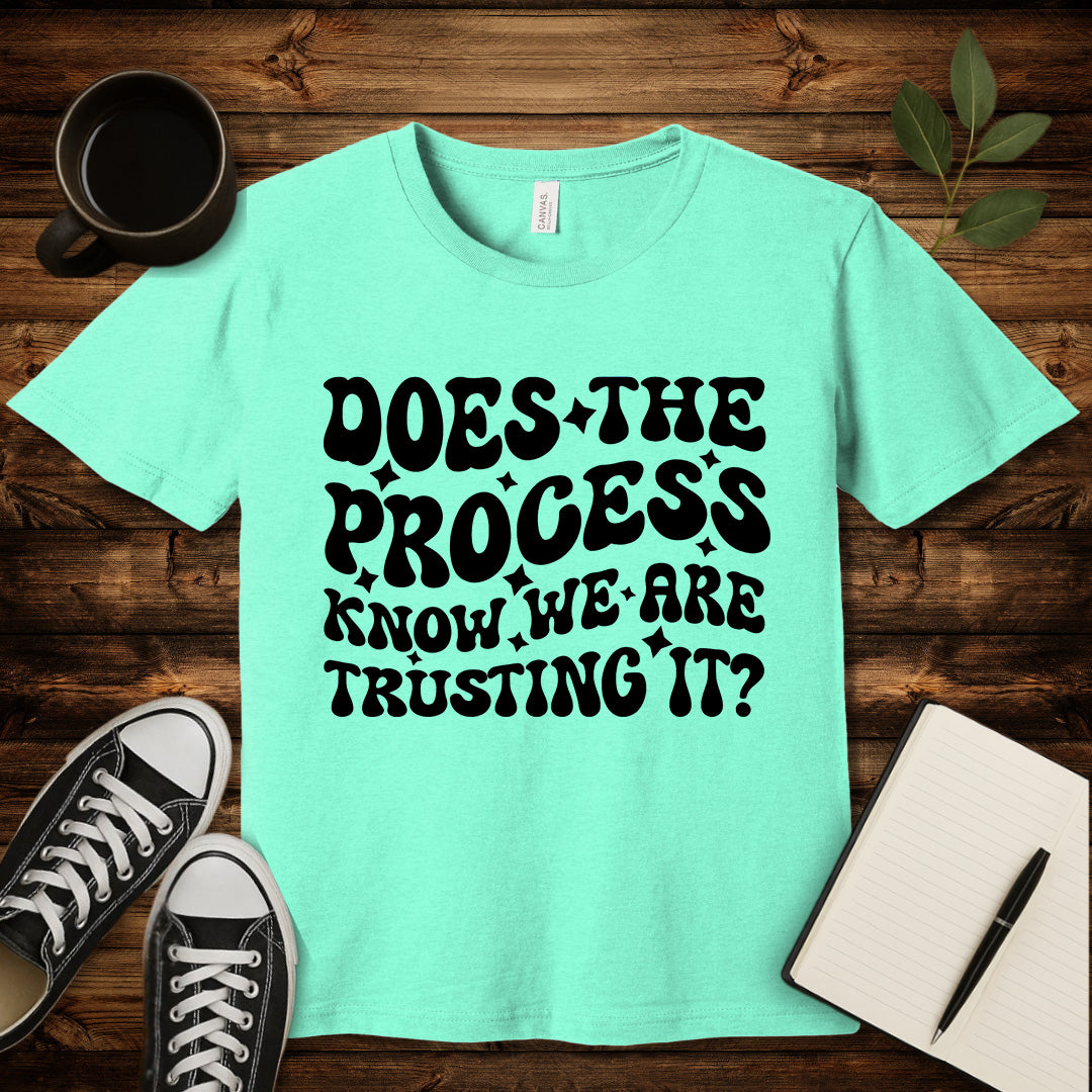 Does the Process Know T-Shirt-T-Shirt-Heather Mint-S-wearable sarcasm by Savage Tee Society