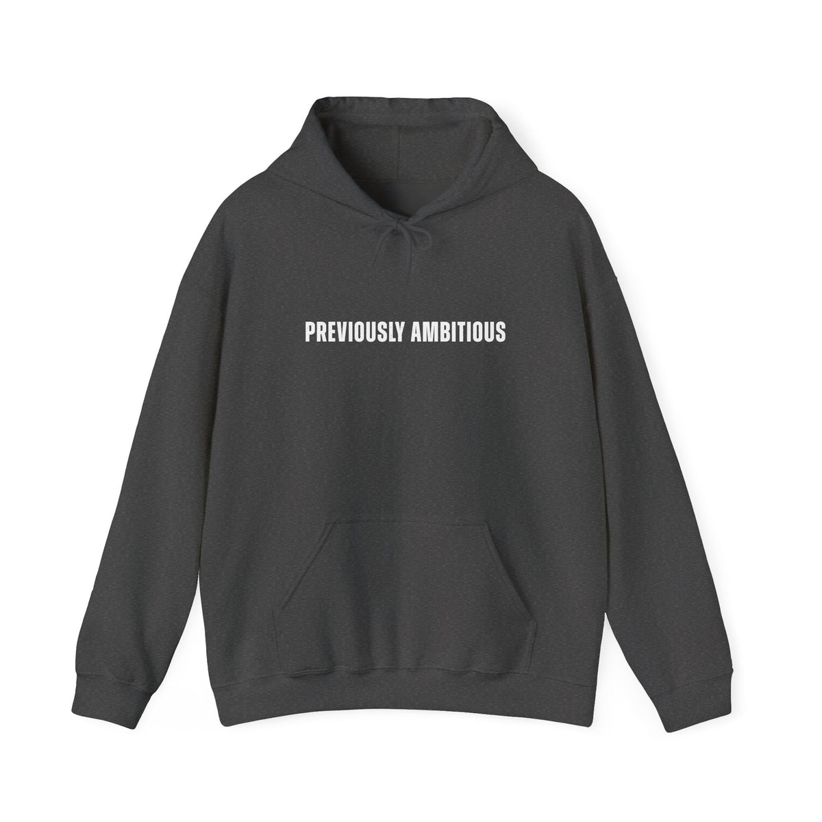Previously Ambitious Hooded Sweatshirt (test)