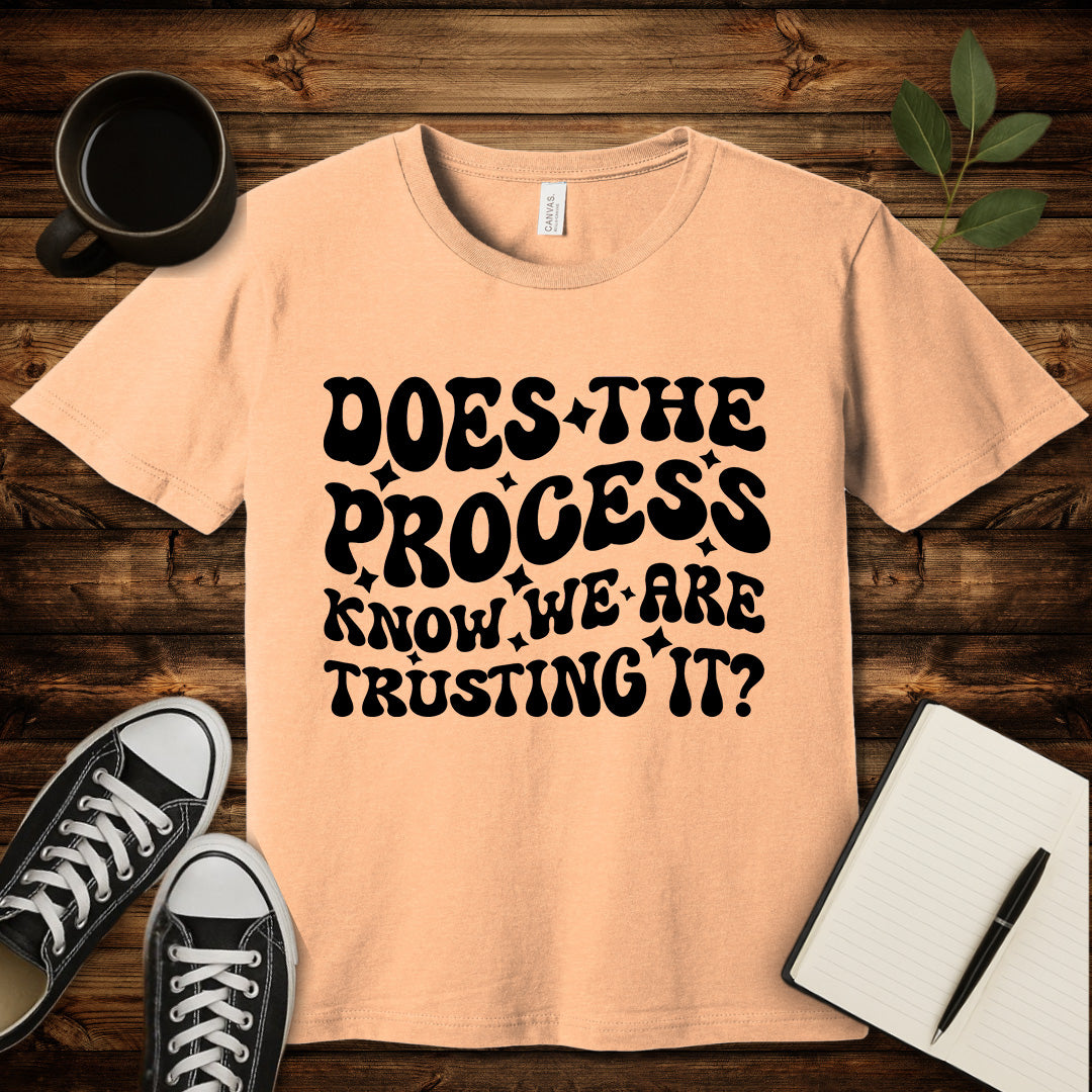 Does the Process Know T-Shirt-T-Shirt-Heather Peach-S-wearable sarcasm by Savage Tee Society