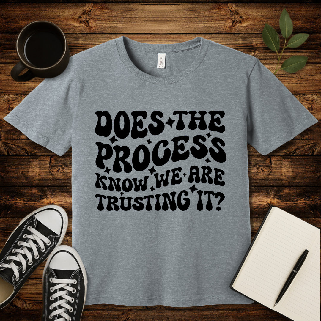 Does the Process Know T-Shirt-T-Shirt-Athletic Heather-S-wearable sarcasm by Savage Tee Society