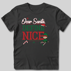 Dear Santa, Define Nice T-Shirt