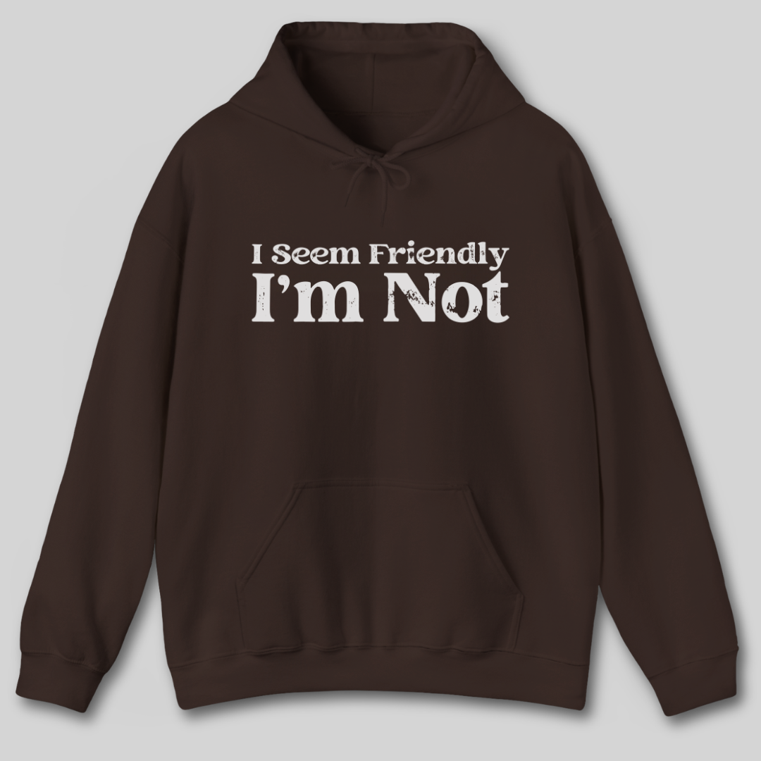 I Seem Friendly I'm Not Hoodie