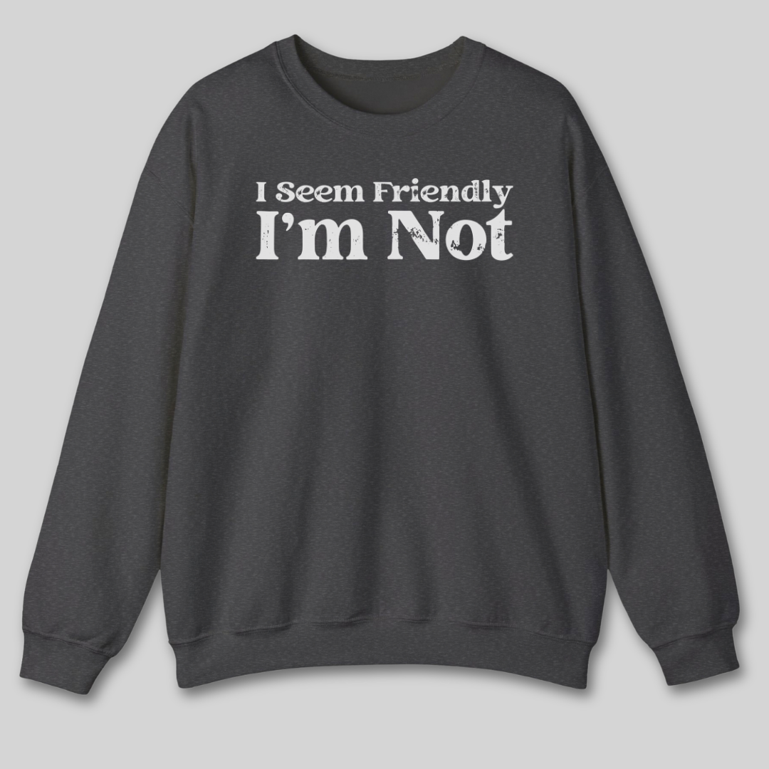 I Seem Friendly Sweatshirt