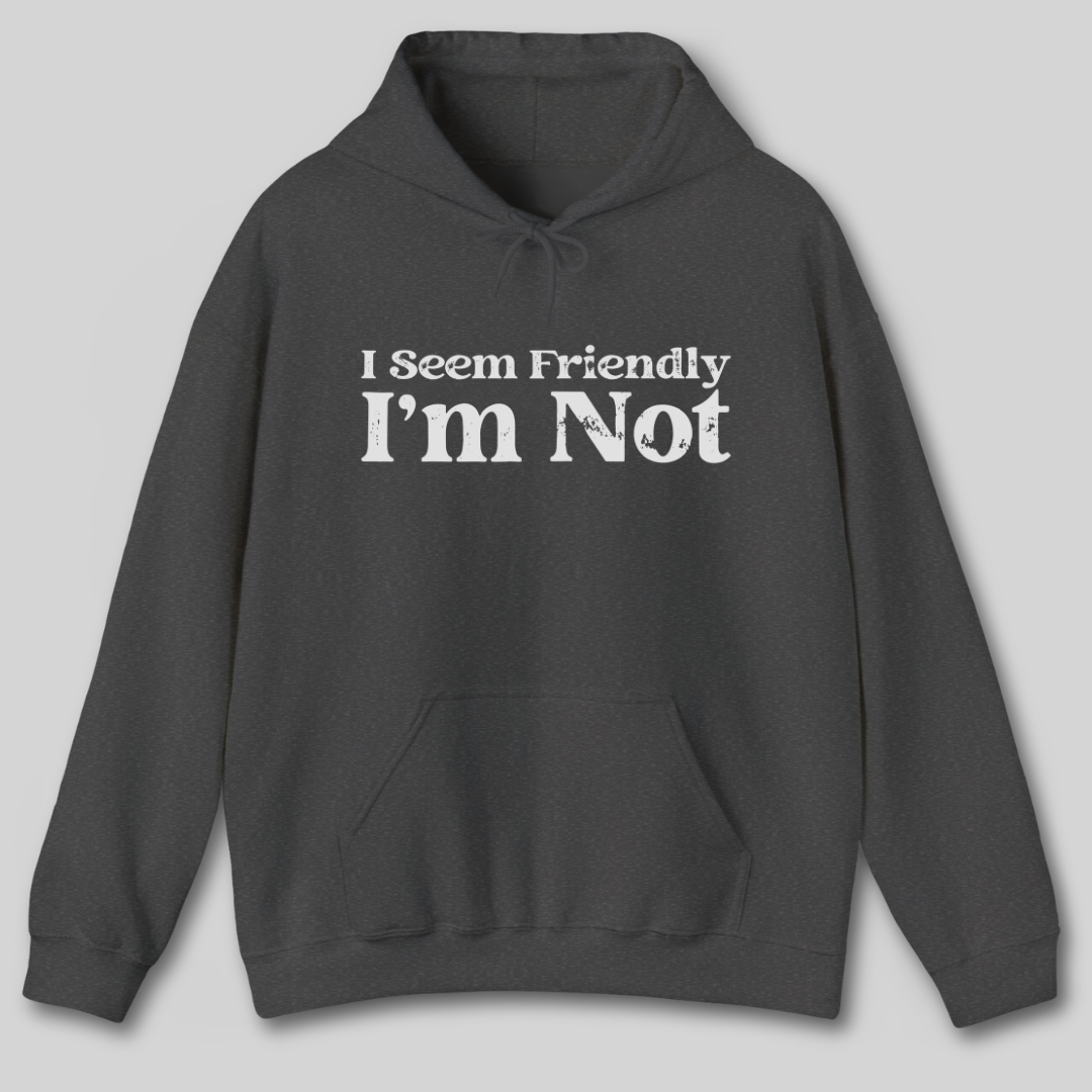 I Seem Friendly I'm Not Hoodie