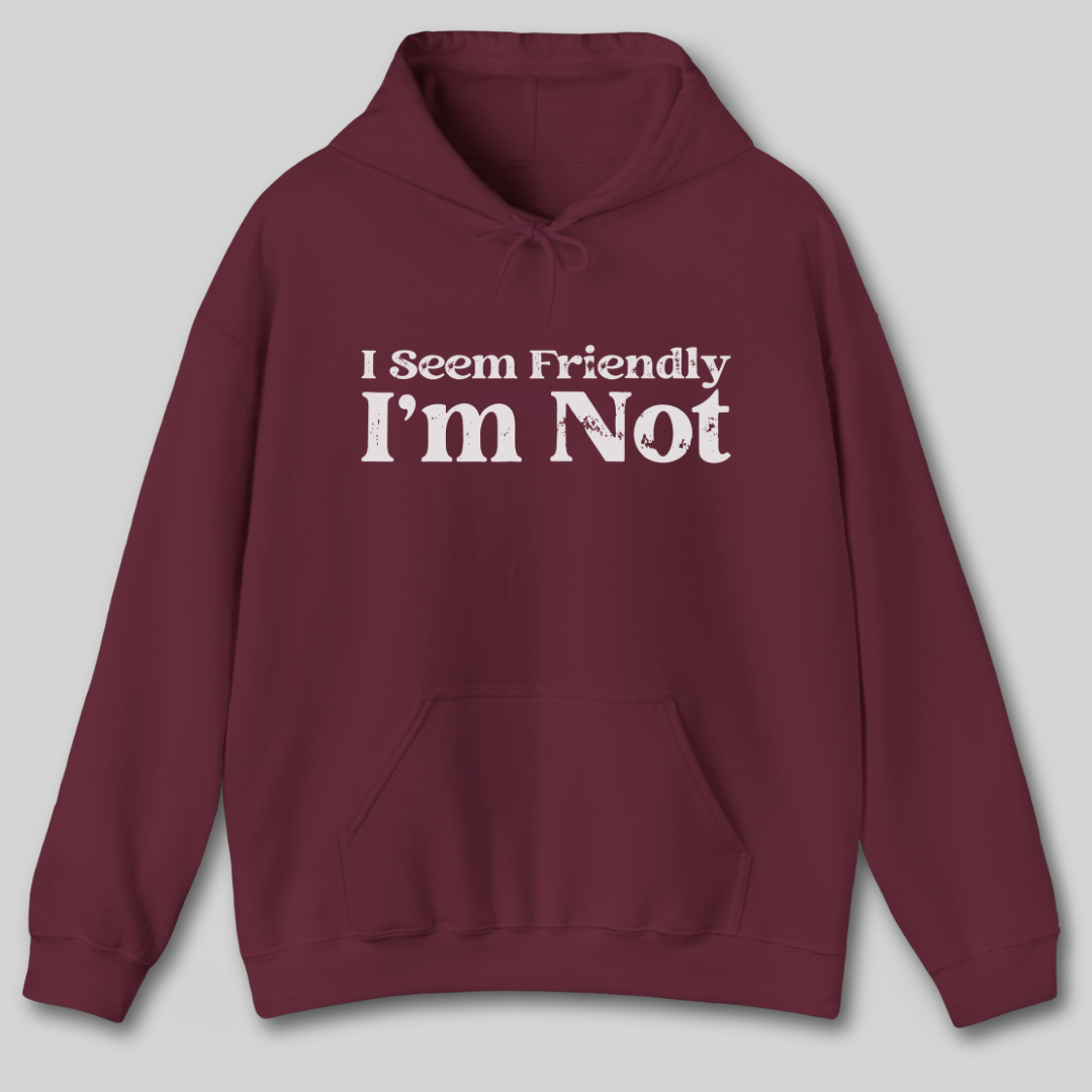 I Seem Friendly I'm Not Hoodie