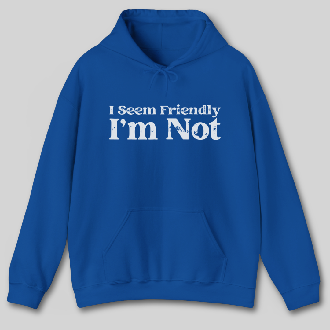 I Seem Friendly I'm Not Hoodie